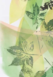 Overlays met groene bladeren