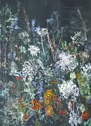 Nachtelijke bloei van wilde bloemen