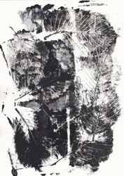 Monochrome botanische impressies
