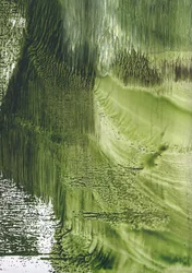 Biologische Groene Stroom