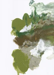 Biologische Groene Stroom