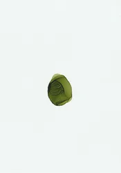 Biologische groene vloeistof