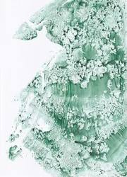 Biologische groene textuur