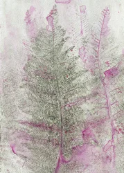 Roze varenafdrukken
