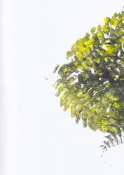 Levendige groene textuur