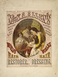 Mrs. S. A. Allen
