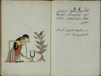 Wukon Jawa, MS 41 p.54, afbeelding 27, 1830