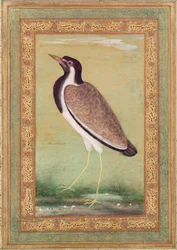 Indische kievit, c.1800