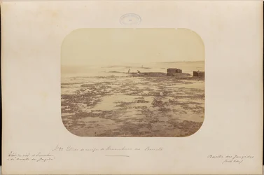 Studie van het rif van Pernambuco in Barreta