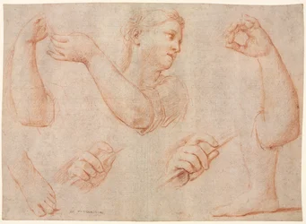 Studie van een Jonge Vrouw die een Tamboerijn Speelt, en Studies van een Arm, Handen en Voeten, ca. 1711
