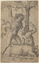 Hercules en Nessus