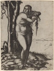 De Geboorte van Venus