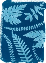 Berg_147, 2023 (cyanotypie)