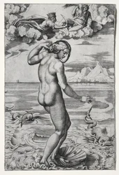 De geboorte van Venus
