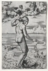 De Geboorte van Venus, ca. 1516