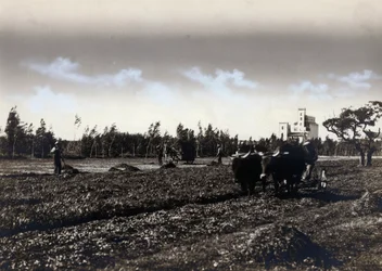 Ploegen in Mussolinia, in de provincie Cagliari