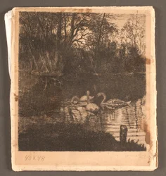 Motief met zwanen. Frederiksberg tuin