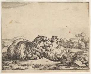 Schapen, uit een set van 16 platen, 1664