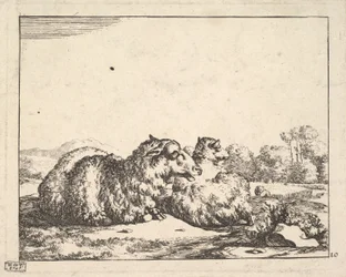 Schapen, uit een set van 16 platen, 1664