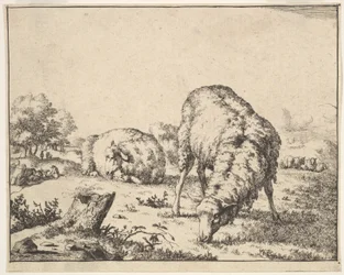 Schapen, uit een set van 16 platen, 1664