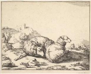 Schapen, uit een set van 16 platen, 1664