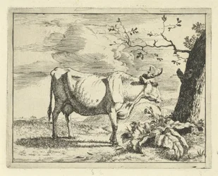 Staande koe bij boom Runderen en varkens (series title)