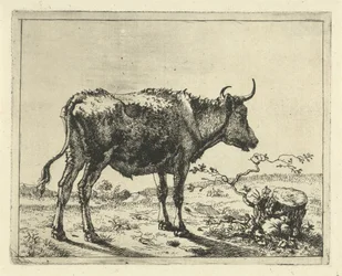 Stier staand bij boomstronk