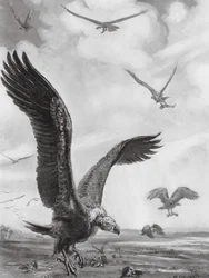 Gieren die de ledematen van de doden dragen (litho)