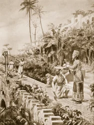 De hangende tuinen van Babylon, illustratie uit 