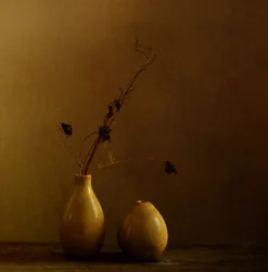 Aardse vazen met gedroogde takken