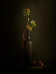 Stilleven met een stemmige zonnebloem