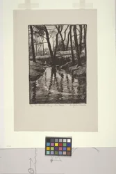 De Beek in de Lente, Pine Manor