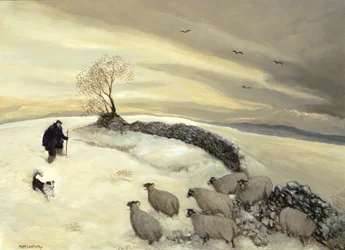 Somber winterdag