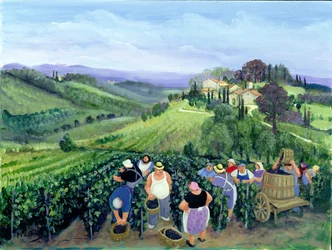 Chianti landschap