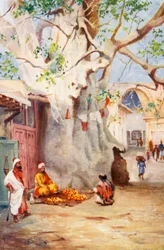 Grote Weegbree in de Bazaar, Damascus