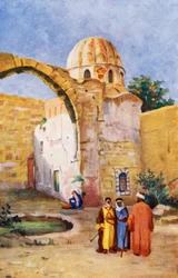 Graf van Saladin, exterieur