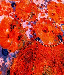 Oranje Bloemenpracht
