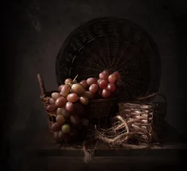 Dark Harvest-druiven
