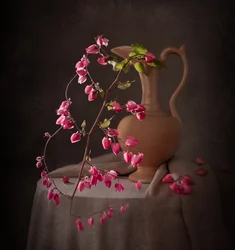 Elegant roze stilleven