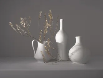 Minimalistisch botanisch stilleven