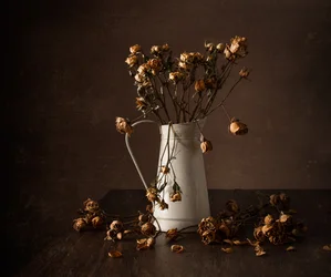 Stilleven met gedroogde rozen van Moody