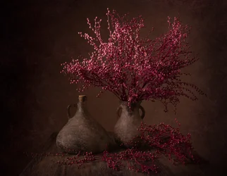 Moody Magenta-takken
