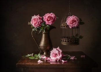 Stilleven met Moody Rose