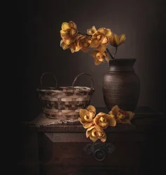 Stemmige gele orchideeën