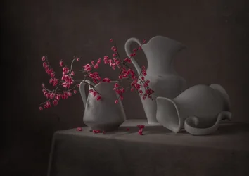 Roze bloemen en witte kannen