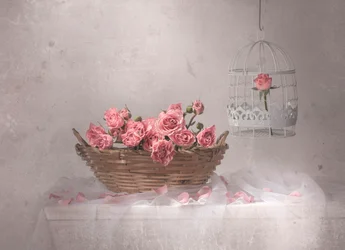 Roze rozen en een vogelkooi