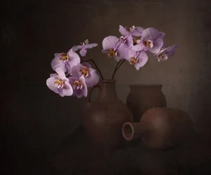 Stilleven met paarse orchidee