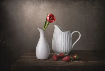 Rode tulp en aardbeien