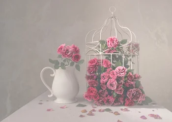 Rozen en vogelkooi