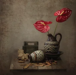Rustiek stilleven met anthurium